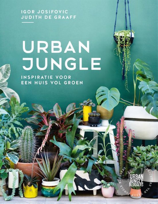 Urban jungle - inspiratie voor een huis vol groen